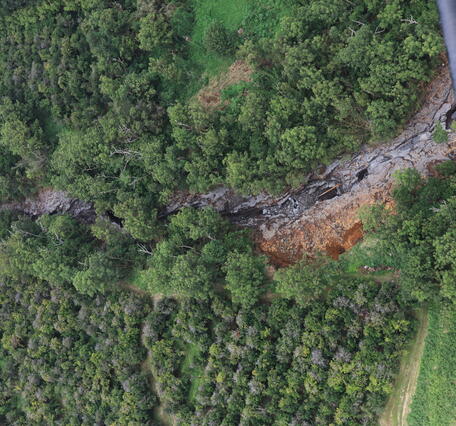 Color photograph of flood-scoured gulch surrounded by greenery