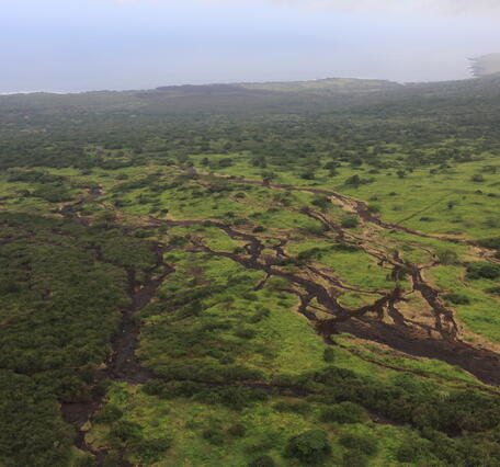 Color photograph of green pasture area with braided scours from flooding