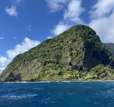 Color photograph of vegetated island rising from ocean