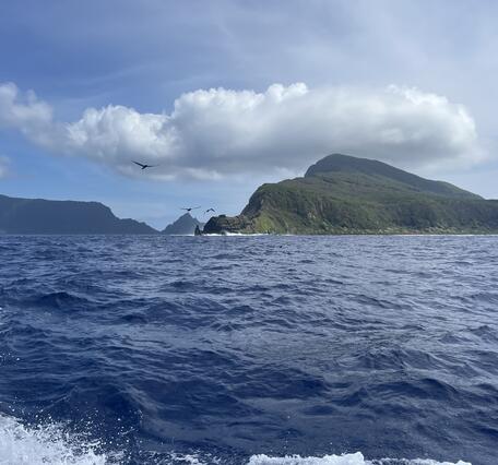 Color photograph of vegetated islnd rising from ocean