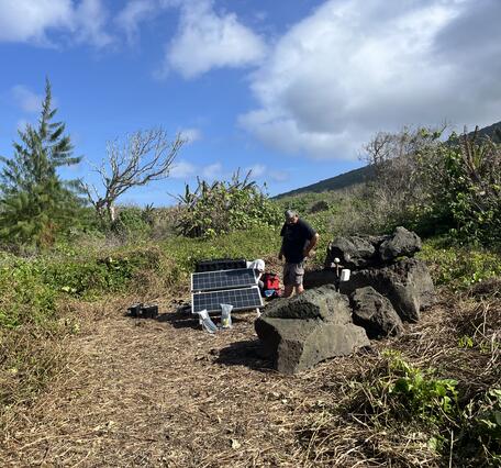 Color photograph of scientists at monitoring station surrounded by vegetation