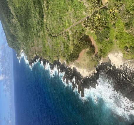 Color photograph of vegetated shoreline and ocean