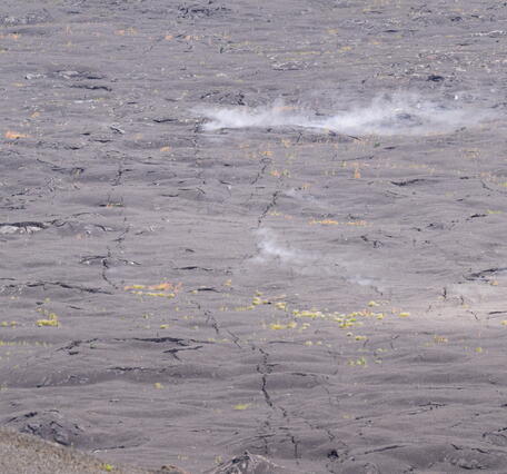 Color photograph of steaming ground crack
