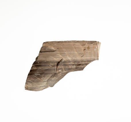 High-definition image of oil shale specimen with fine-grained texture and dark coloration.