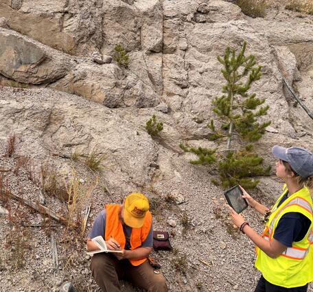 A young man and young woman examine a tan-colored rock outcrop with some grasses and a small tree