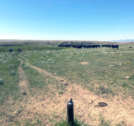 USGS monitoring well on the Fort Belknap Reservation