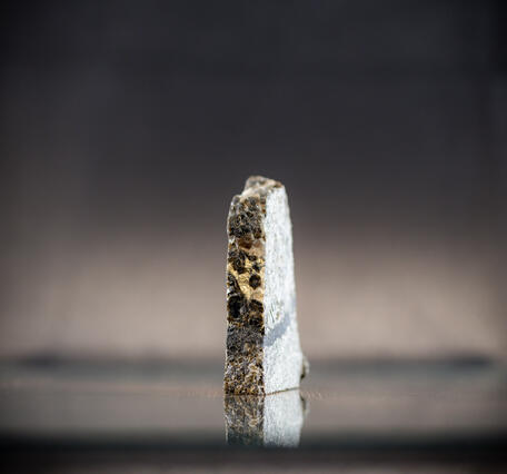 High-definition image of platinum-bearing chromite band in gabbro.