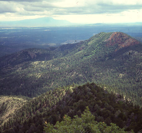 side-by-side of forested mountains in 1995 on the left, and burned forested mountains on the right in 2023.