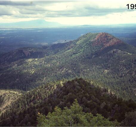 forest mountains with sky and clouds above