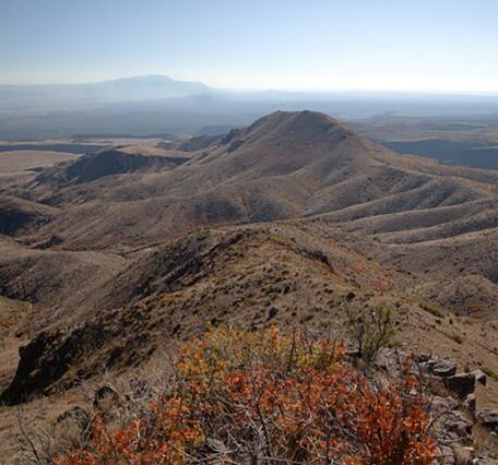 burned forest across mountains with clear skies above