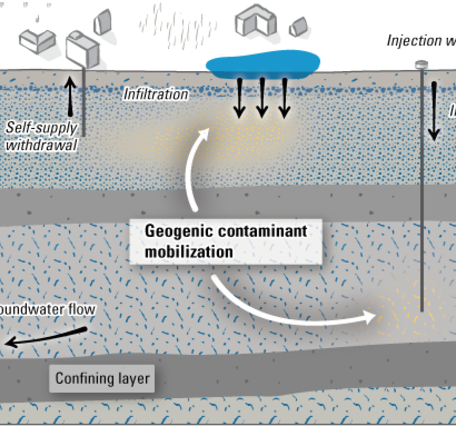 Illustration of geogenic contaminant mobilization