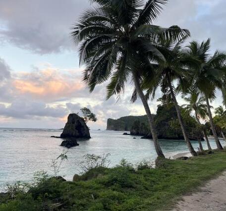 Color photo of a tropical looking island with palm trees and rock coast and calm seas.