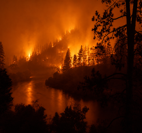 Trees burning next to a river