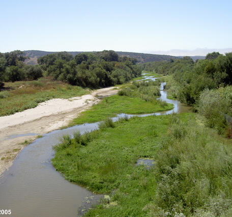SALINAS RIVER NEAR SPRECKELS CA