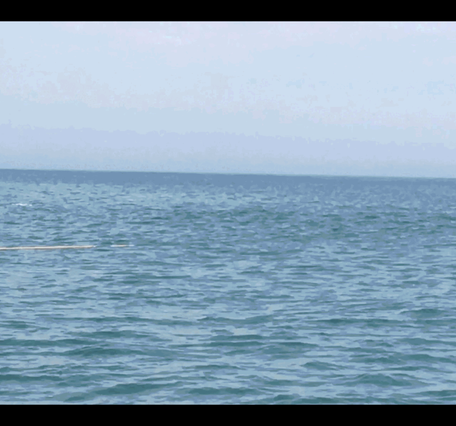 A seismic instrument on pontoon floats is deployed from the beach to the water. 