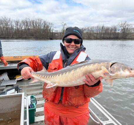 A female scientist holds a long, grey fish with large scales. 