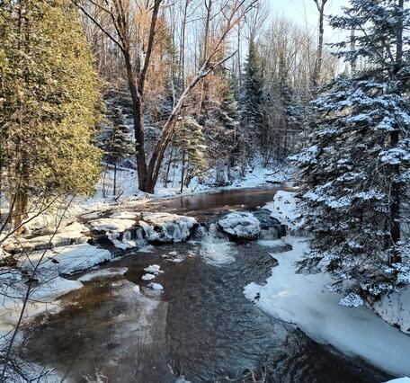 Shallow waterfalls in the middle of a river, surrounded by snow covered trees and foliage on shoreline