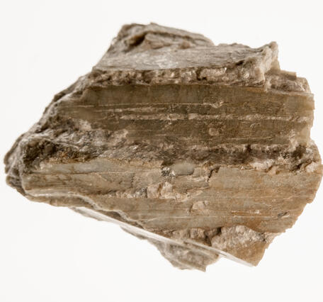 High-definition image of spodumene specimen with fibrous texture and light coloration.