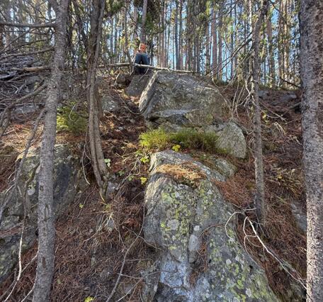 Rock outcrop in the midst of a forest with a person standing on top collecting a sample