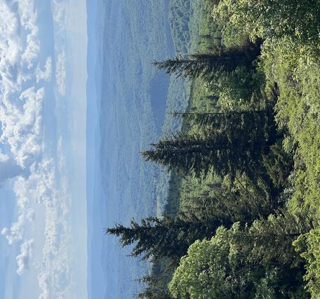 Spruce Knob, the highest point in West Virginia