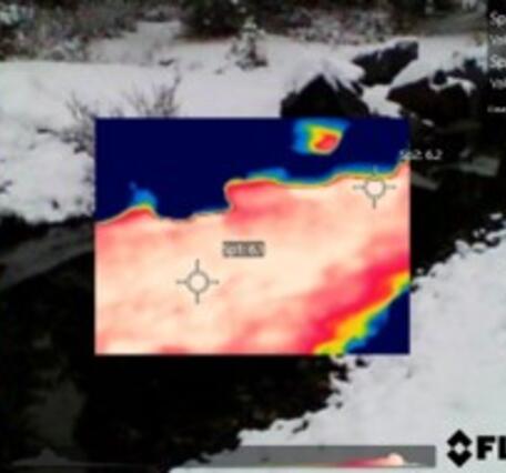 Infrared thermal image of groundwater discharge