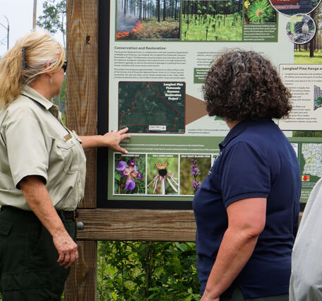 Forest Supervisor talks with USFWS about flatwoods