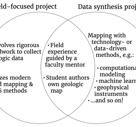 Venn diagram comparing field-focused projects and data synthesis projects. 