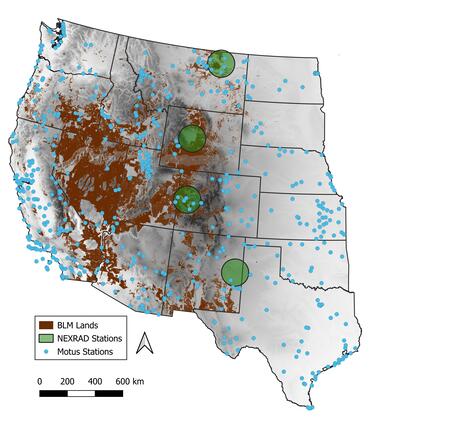 Map of the western United States illustrating lands under BLM management (in brown) and locations of Next Generation Weather Surveillance Radars (NEXRAD Stations) (green dots) and Motus Wildlife Tracking Network stations (Motus Stations) (blue dots).