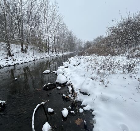 Snow blankets the shore of a river in winter