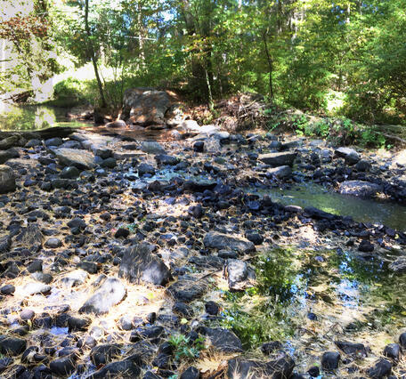2020 drought impact on Little River near Oxford, Massachusetts