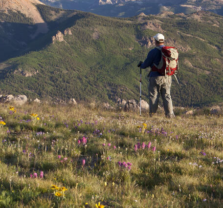 Hiker on the Continental Divide Scenic Trail in Colorado, USA. 