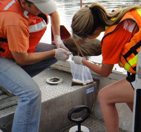 Water-quality sampling on the Missouri River