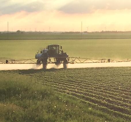 Agricultural field with row crops and pesticide sprayer