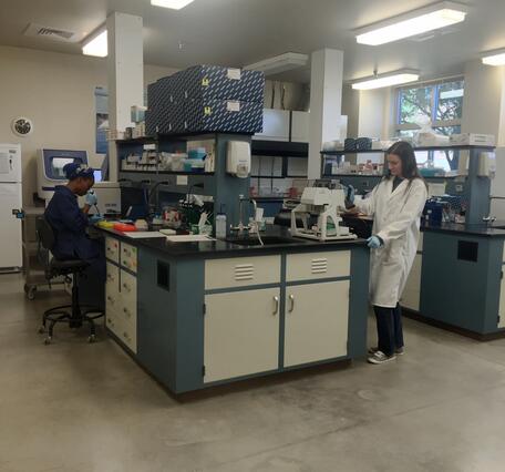 Science technicians work in the Molecular Ecology Lab at the Fort Collins Science Center