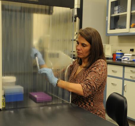 Dr. Sara Oyler-McCance working in the Molecular Genetics Lab at the Fort Collins Science Center.
