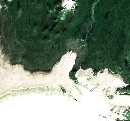 Image shows a satellite view of a white glacier extending from a large ice cap into a surrounding green landscape