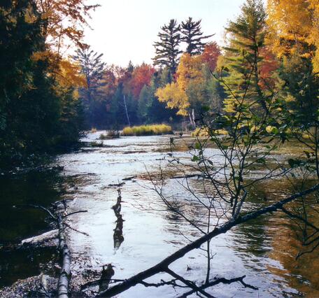Autumn colors at Millecoquin River near Naubinway, Michigan