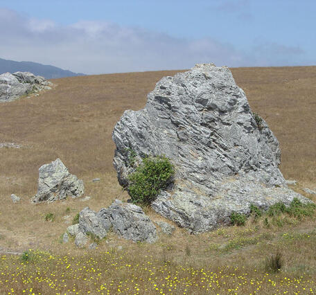 A photo of a blueschist.