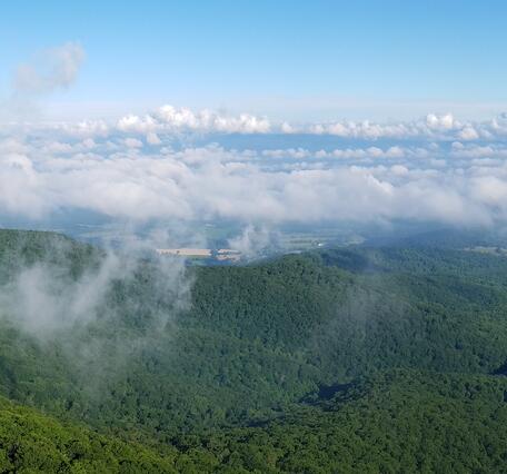 An overlook view from a peak in Shenandoah National Park; looking out across the valley below.