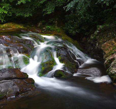Smoky Mountain Stream on way to Cades Cove - Tennessee