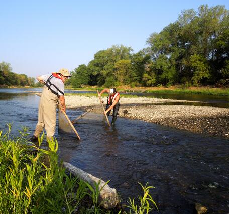 Electrofishing in Indiana