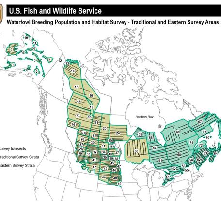 Waterfowl Breeding Population and Habitat Survey - Traditional and Eastern Survey Areas