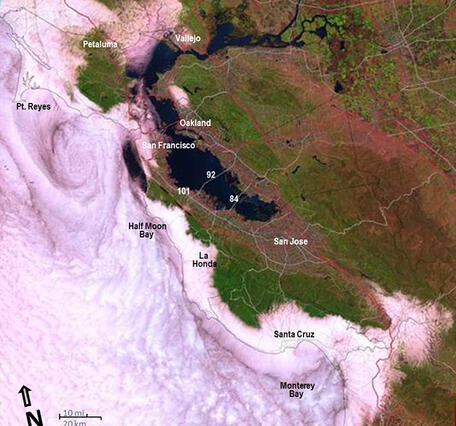 Landsat image shows the marine stratus and stratocumulus cloud layer