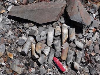 Image: Discarded Drill Cores from the Blackbird Cobalt-Copper Mine