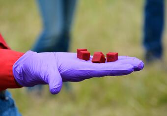 Image: Plague Vaccine Bait