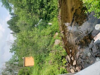 Streamgage house surrounded by green vegetation on bank of river