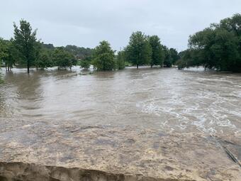 Brown floodwaters swirling in foreground with green trees in background