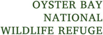 Uppercase dark green text showing official name of boundary area.