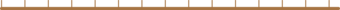Brown line with ticks indicating a depression.