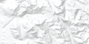Grayscale representation of elevation data.